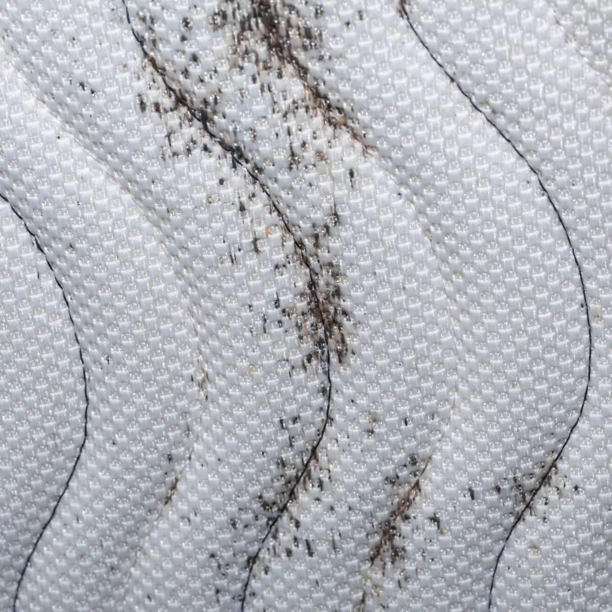 Bed bug fecal spots on white fabric showing typical staining pattern